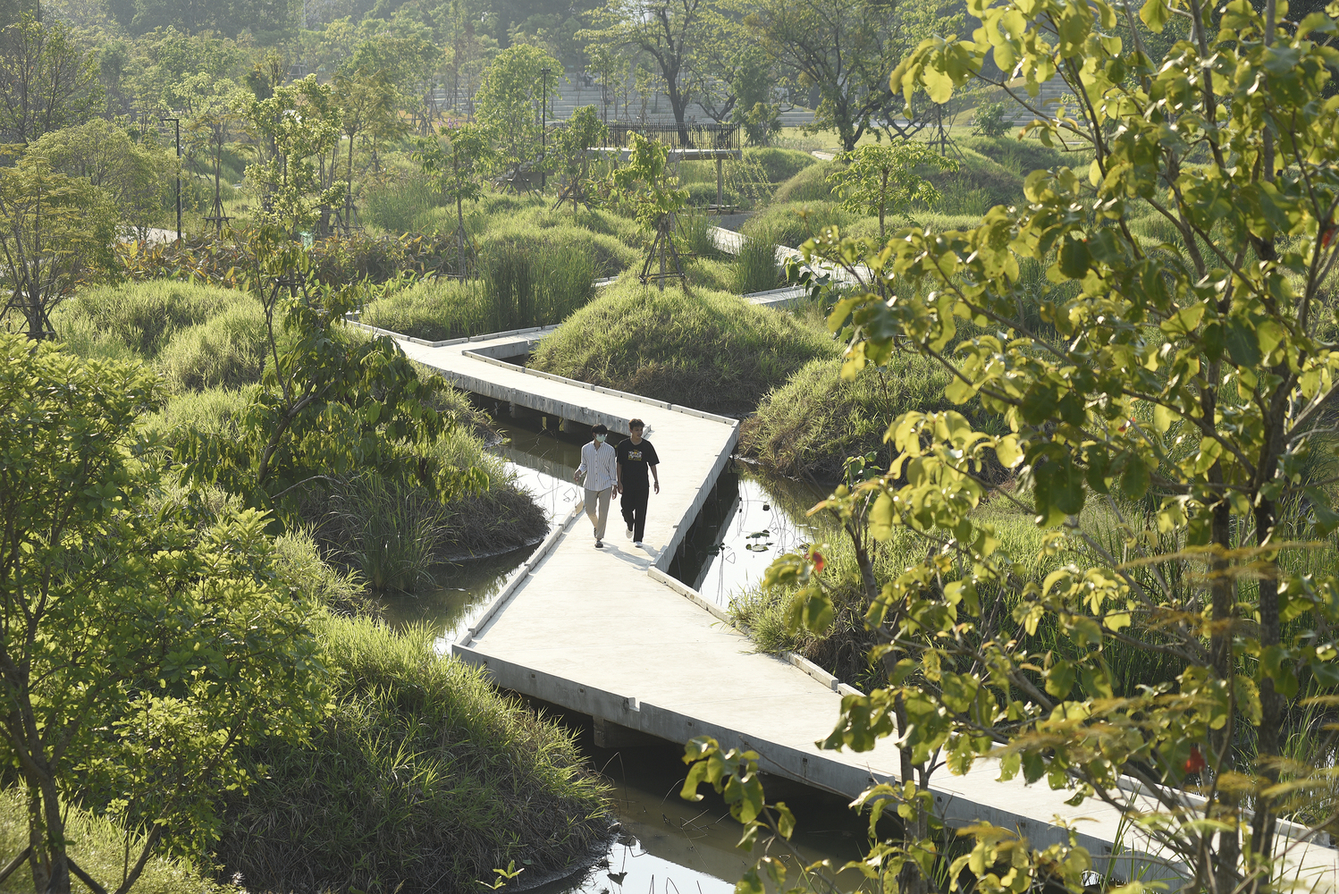 forest pathway, research documents, modern architecture
