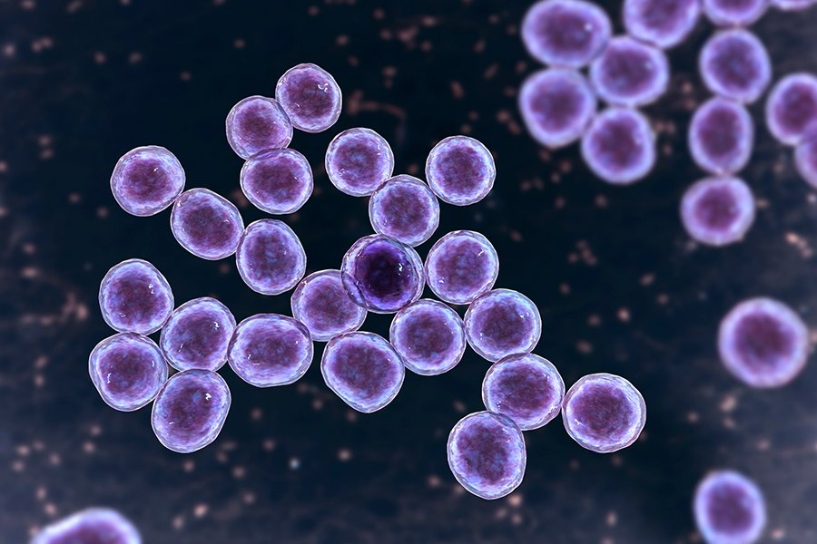 Ilustración representando una cepa de Staphylococcus aureus resistente a meticilina (MRSA).