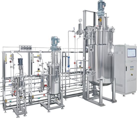 industrial bioreactor fermentation steroids