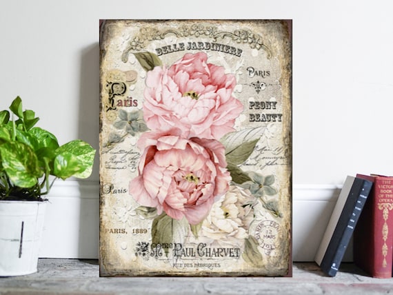 Paris street, rose, old book