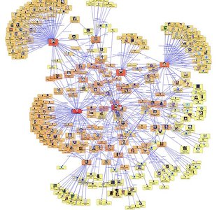 network structure social connections visual