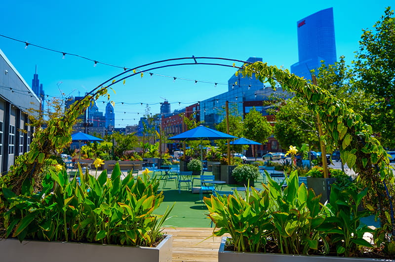 college dining outdoor scenery