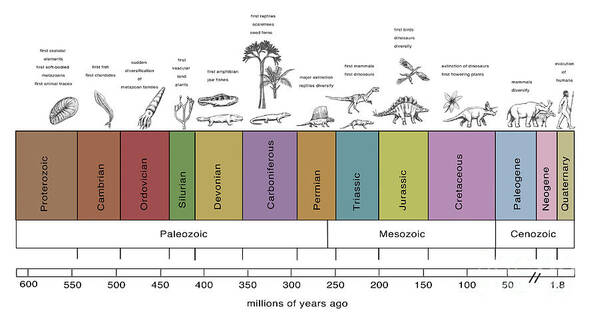 geological times landscape