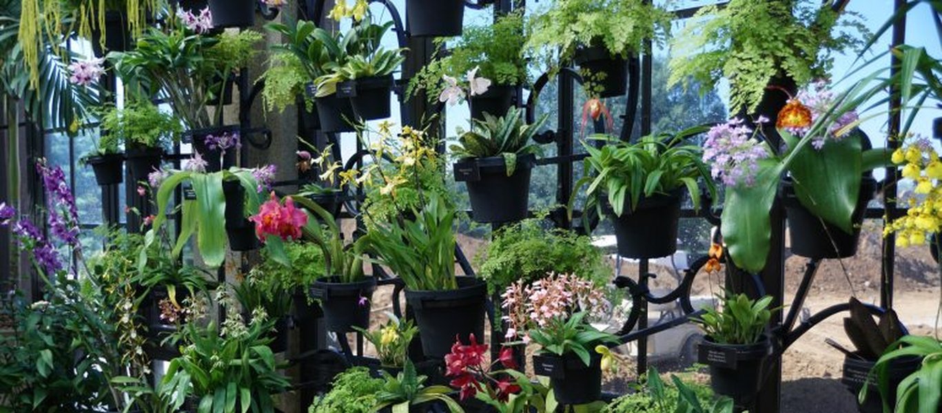 Orchid House at Longwood Gardens