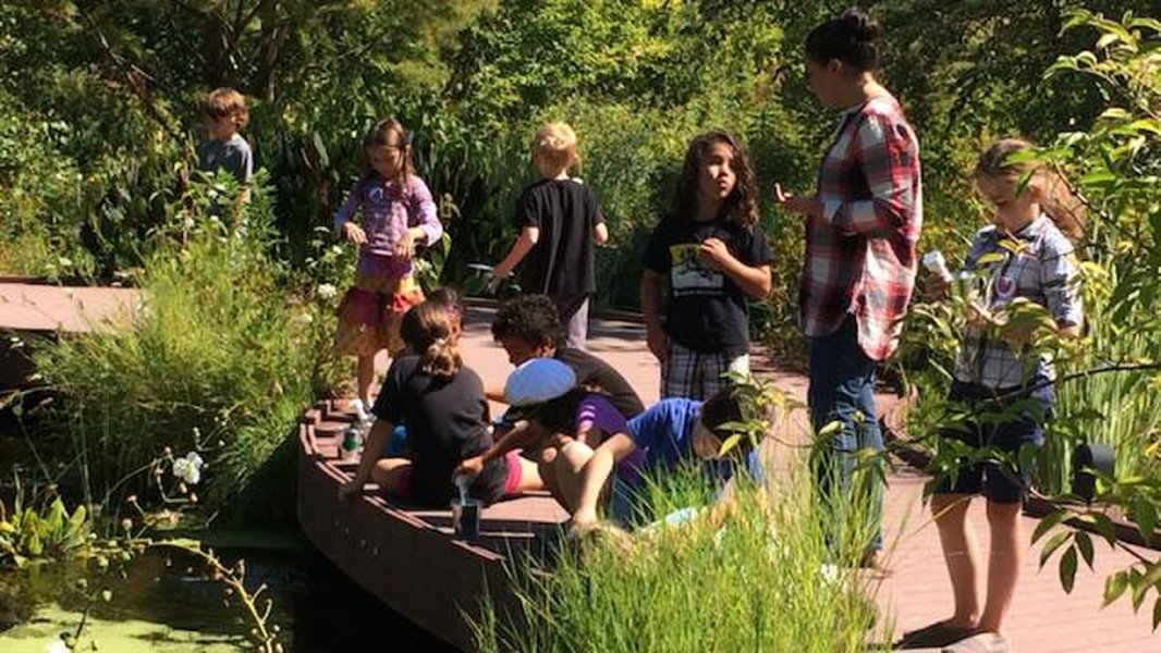 Field Trip at the U.S. Botanic Garden