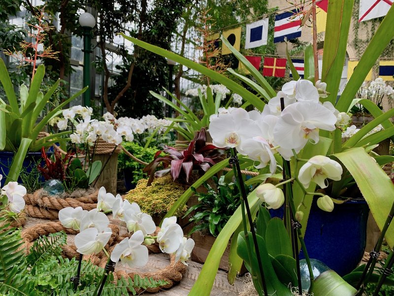 study-trip-report-orchid-gardens-iujf162r