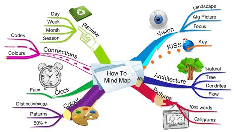 brain mind concept
