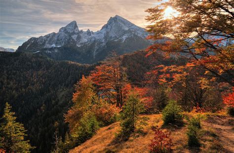 scenic landscape with mountains and trees