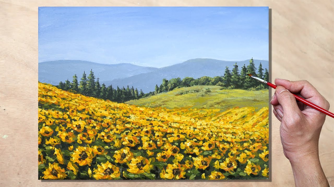 sunflower field landscape