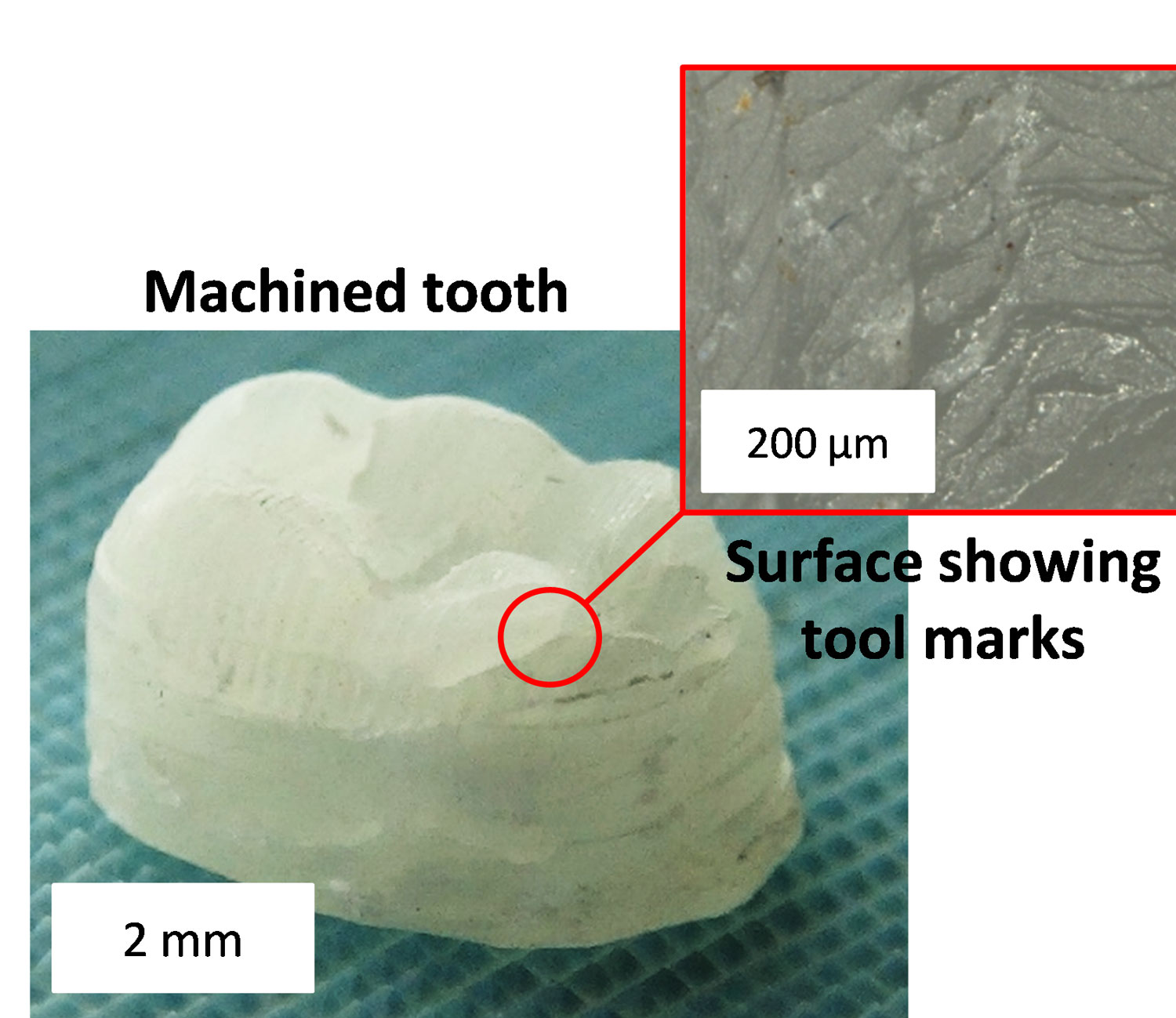 cellulose nanocrystals composite materials