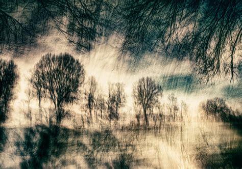Oaks and Fields | ICM, abstract landscape | Simaron | Flickr