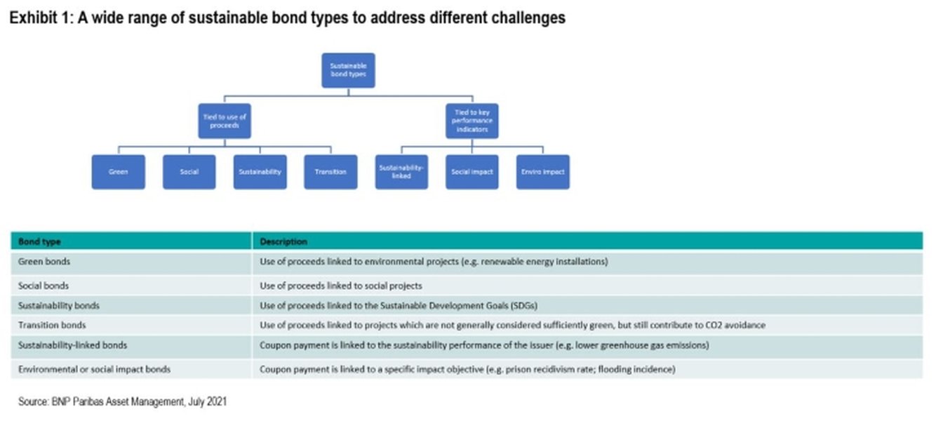 sustainability-bonds-characteristics-and-types-hrd2tly8