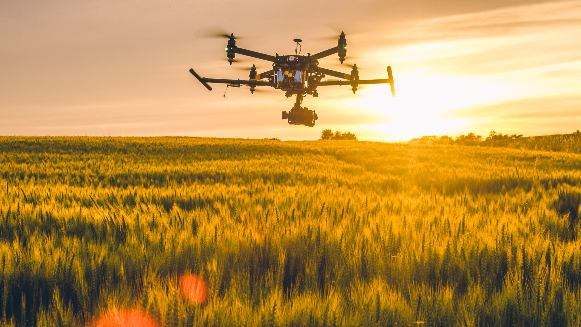 agricultural field technology sunset