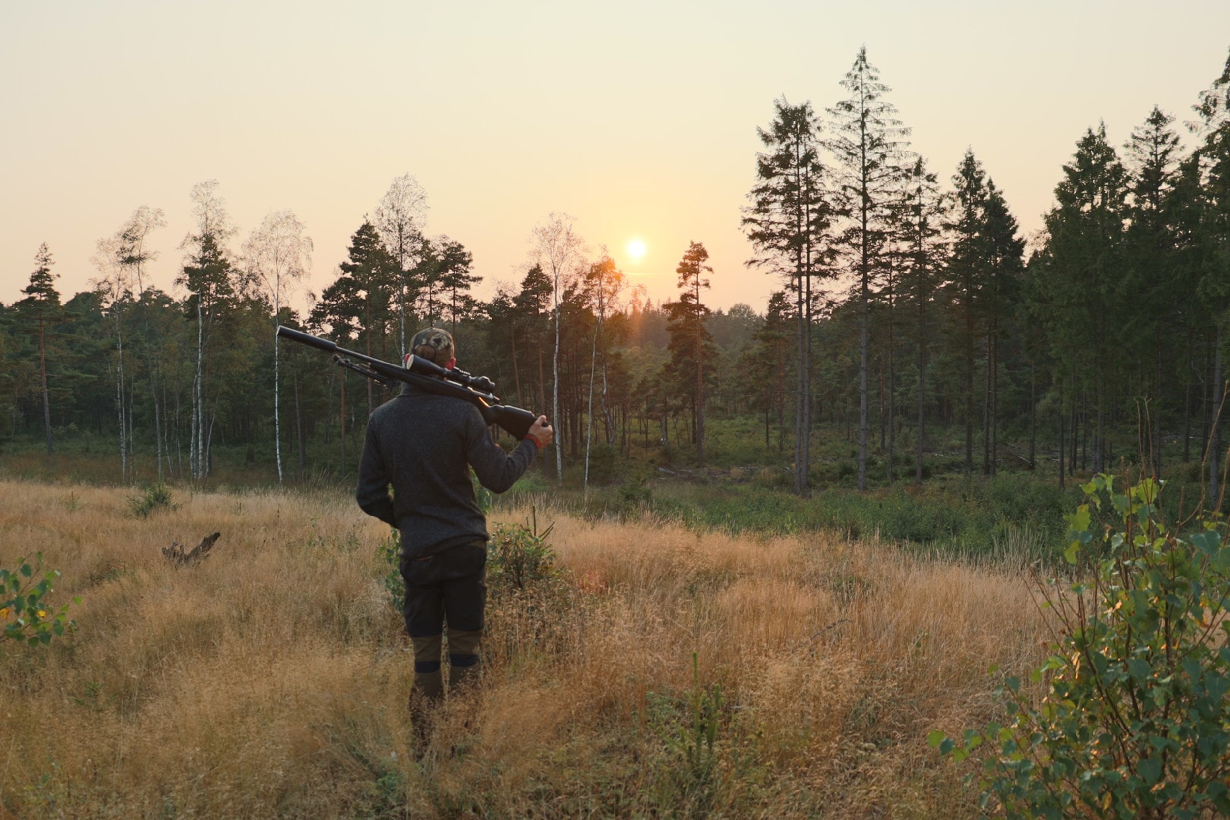 swedish forest hunt
