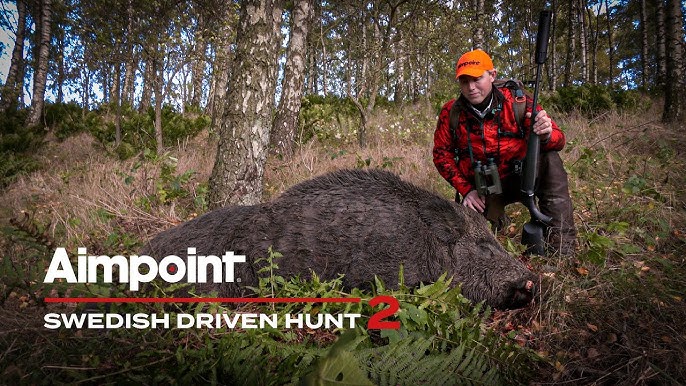 swedish forest hunting scene