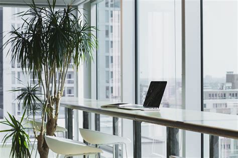 focus work environment