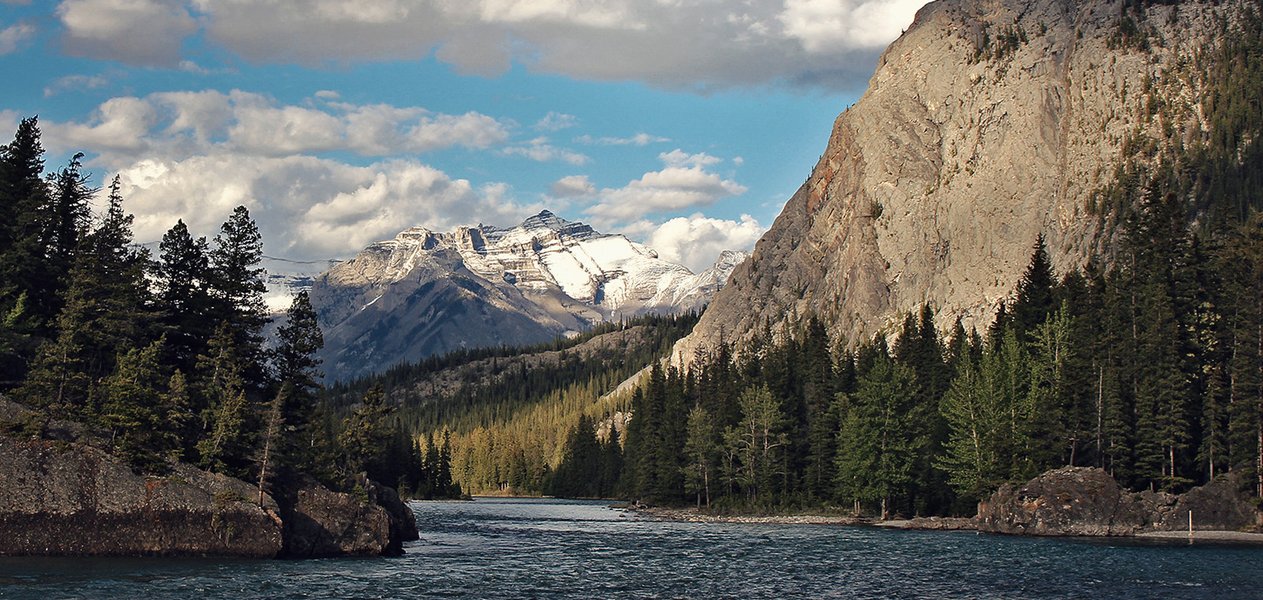Snow-capped mountains overlooking a Taiga forest in Banff, Canada