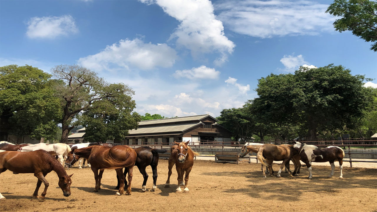 horse riding facilities Taiwan countryside