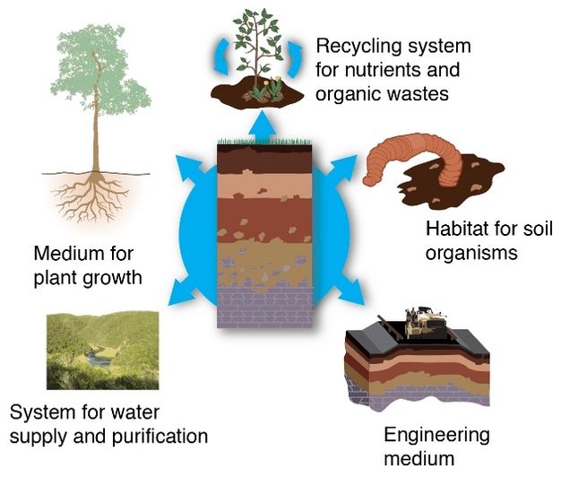 climate landscape soil ecosystem