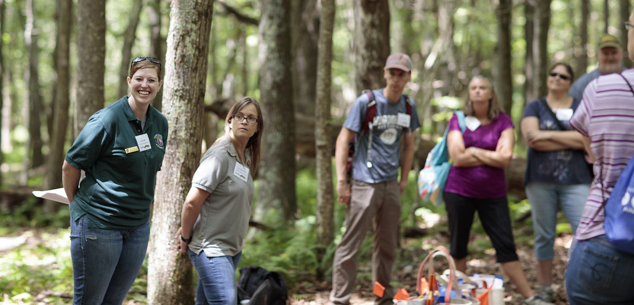 scenic teaching professional development