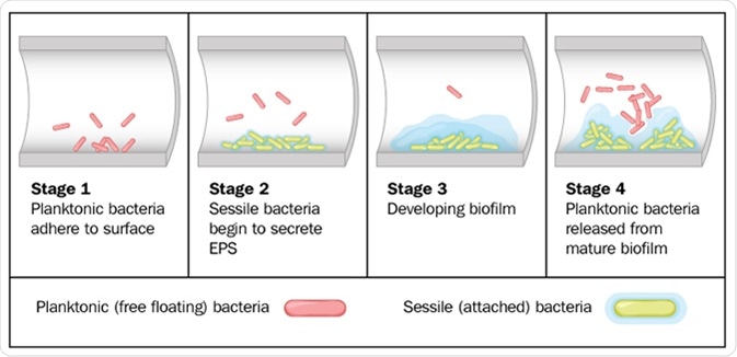 microbial lab equipment and biofilm formation