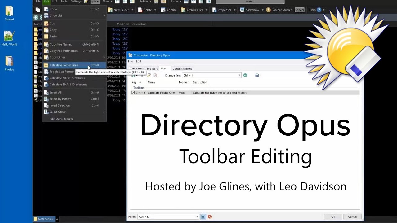 directory opus command customization interface