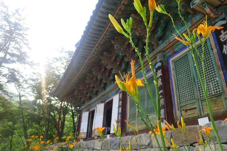 south korean temple retreat