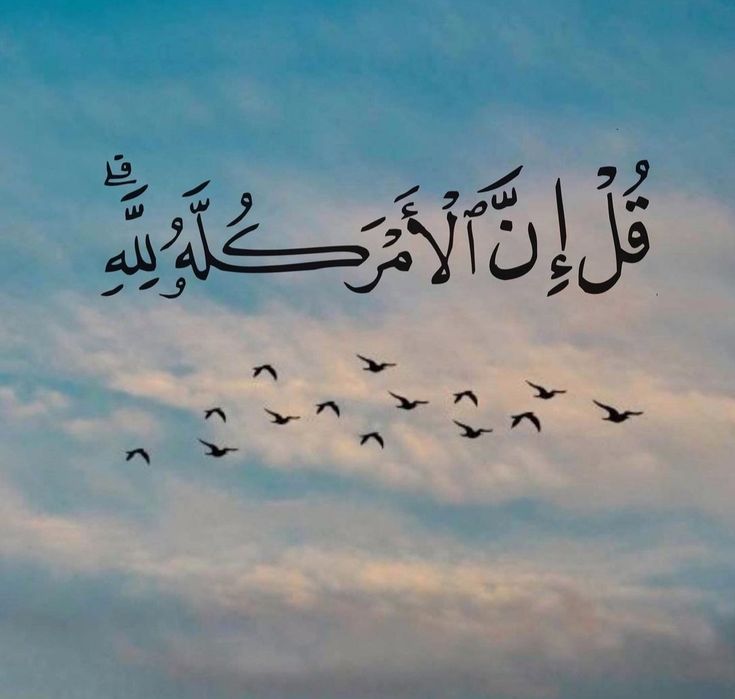 Arabic calligraphy birds nature