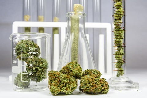 cannabis flowers and ethanol