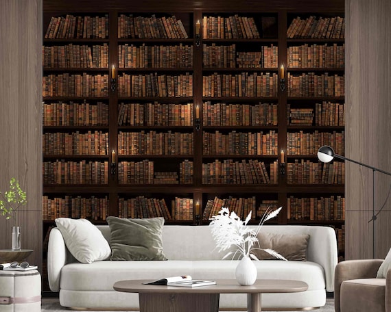 scenic bookshelf vintage literature