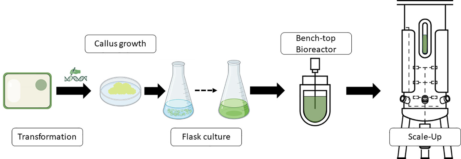 research laboratory, plant extract, cell culture, scientific instruments