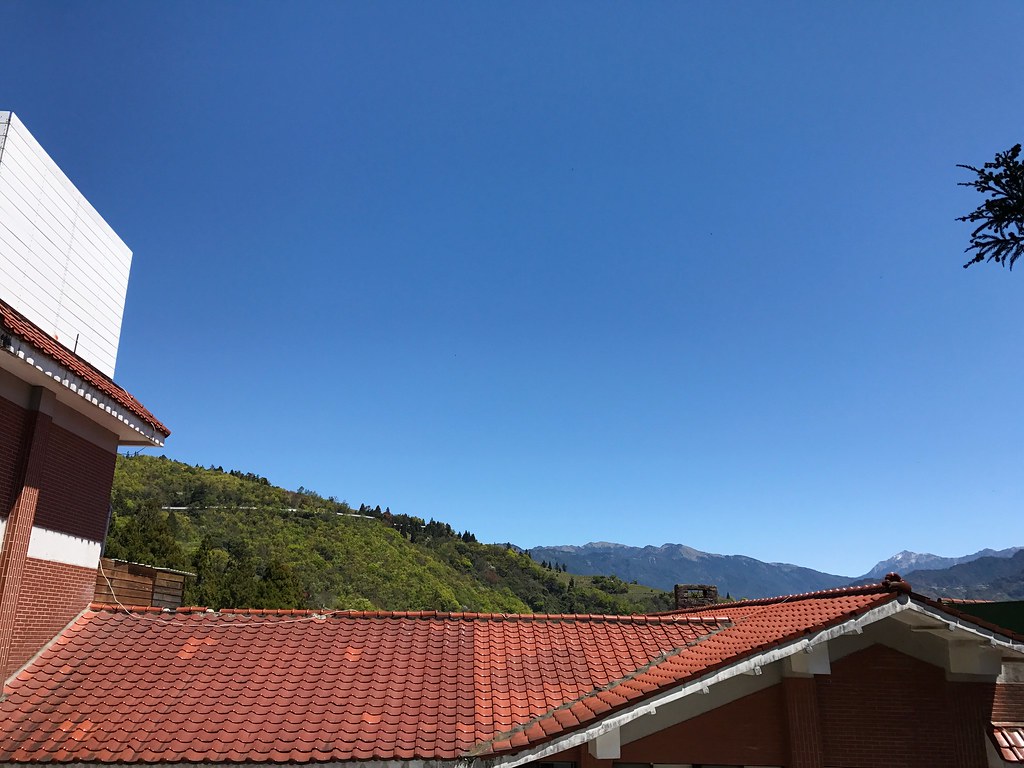 tile roof over a house with clear blue sky