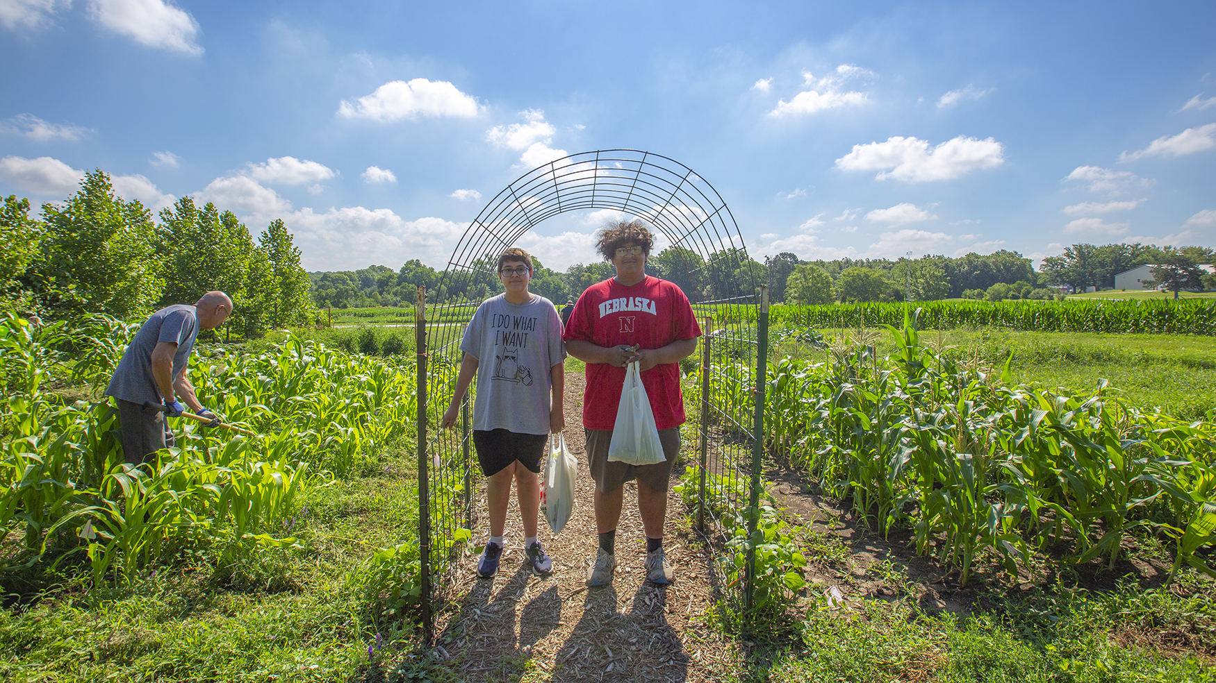 indigenous food plants field survey