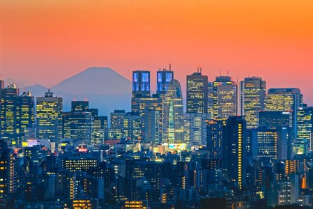 Tokyo skyline and iconic landmarks