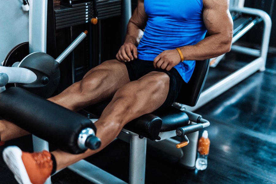 training-program-for-ectomorph-vb8oy2m3