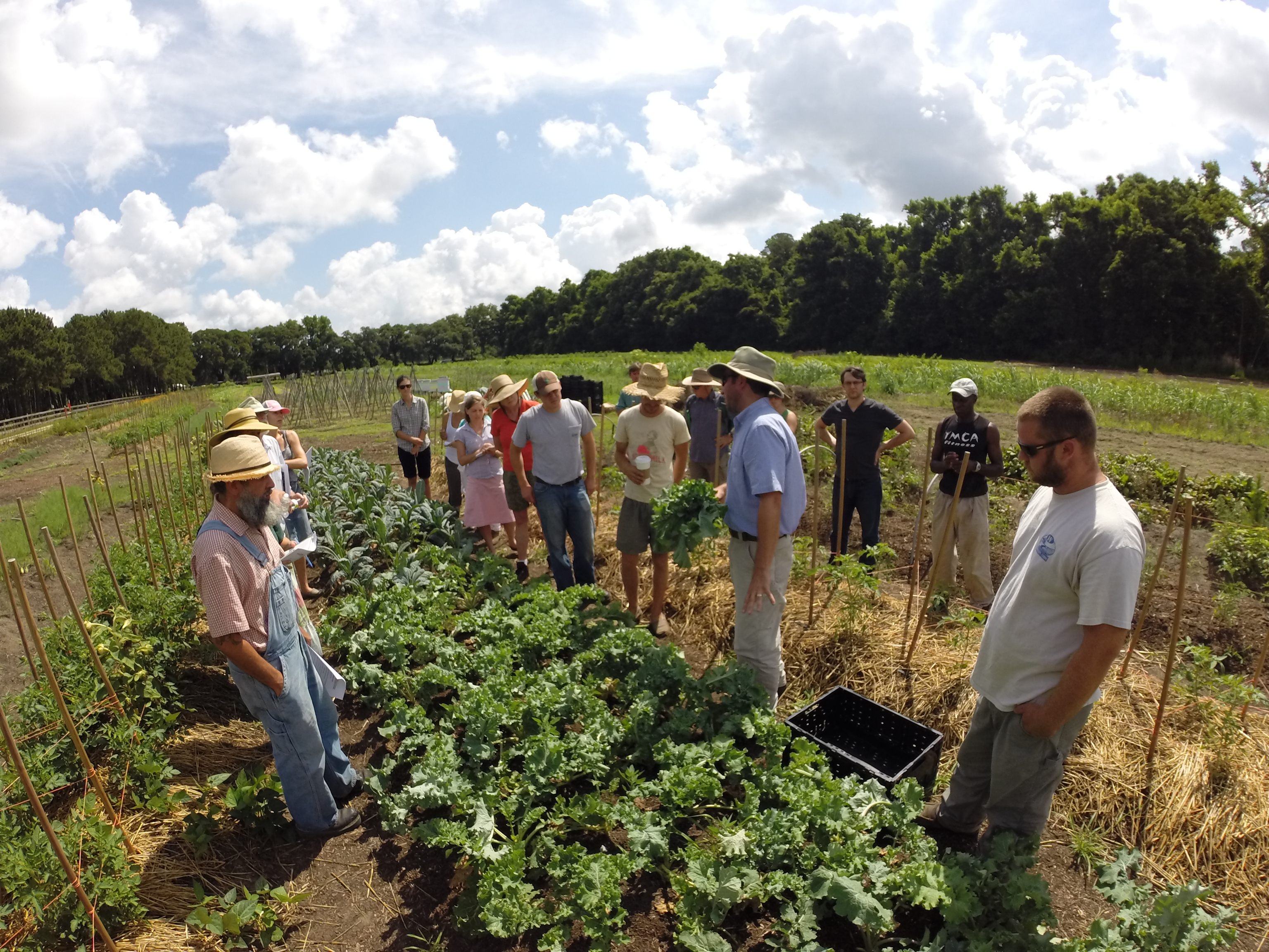 young farmers training field