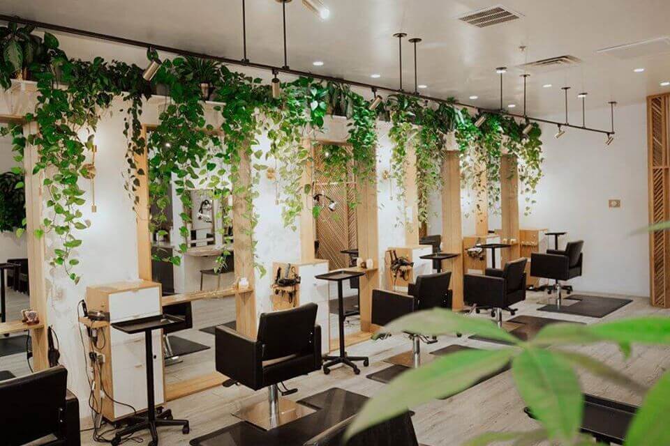 professional beauty salon interior