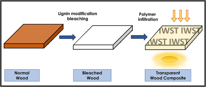 transparent wood composites applications