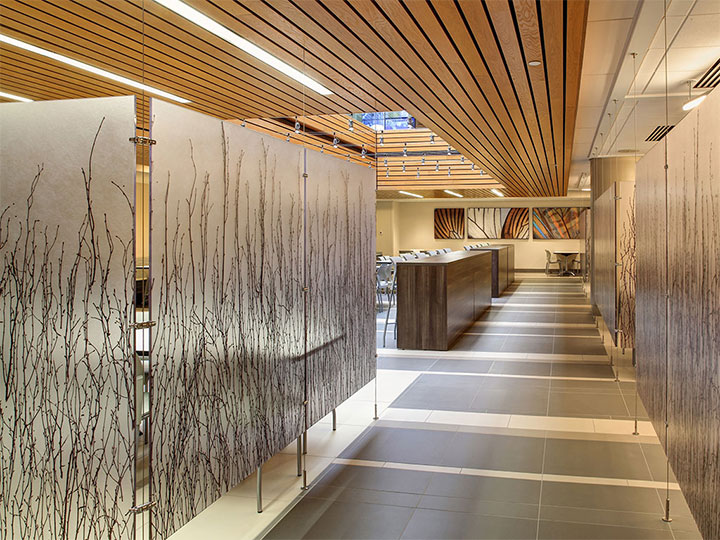 transparent wood panels in modern building