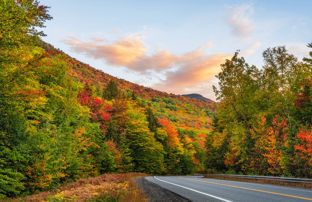 scenic highway landscape