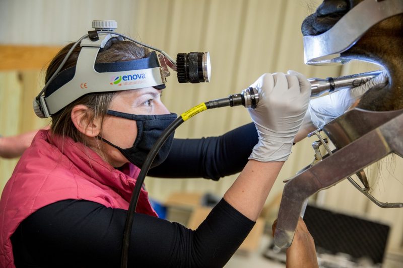 dentistry clinic equipment sports protective gear