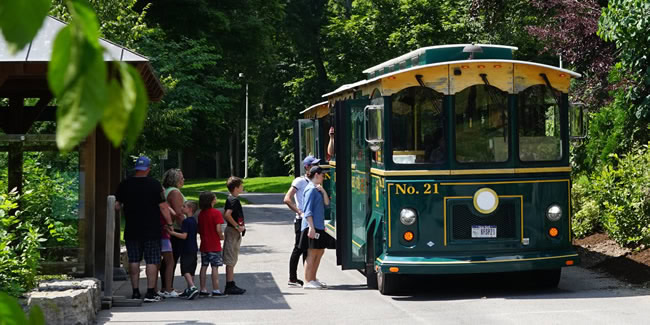 scenic tourism transport
