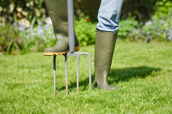 lush green lawn with garden tools