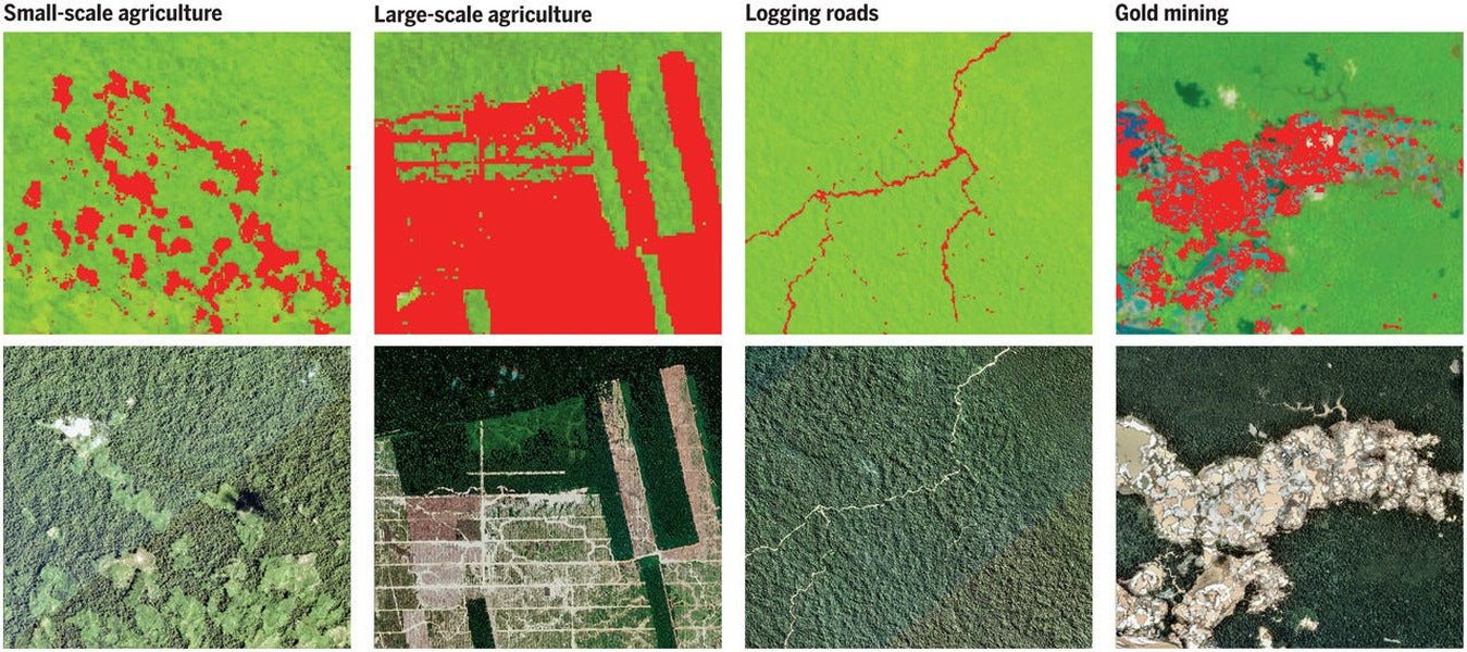 tree-growth-satellite-web3-platform-43fk1wen