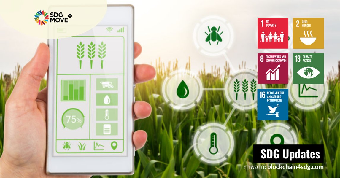 tree-planting-platform-tech-cost-th-bajlj2mi