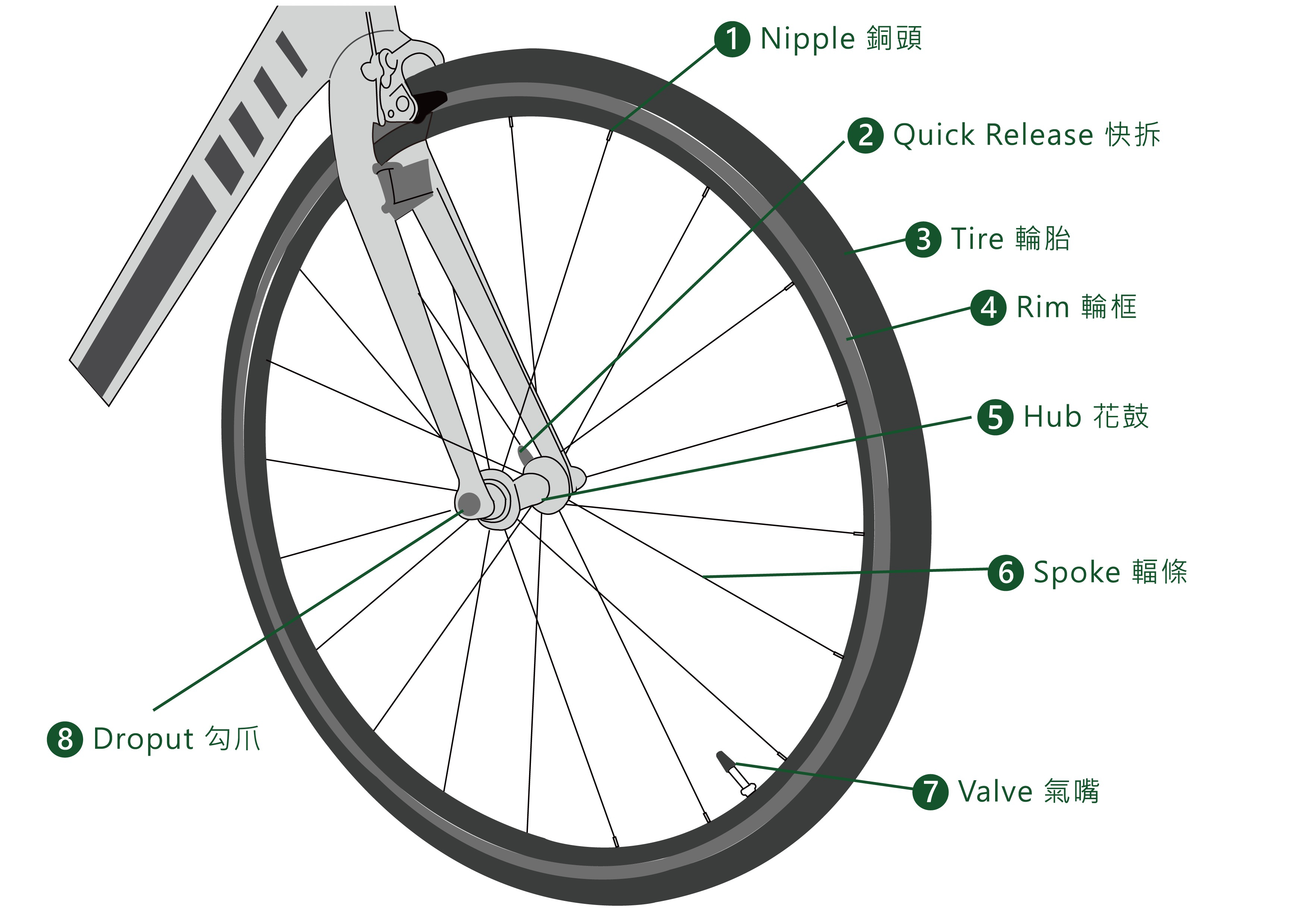 bicycle wheels and components