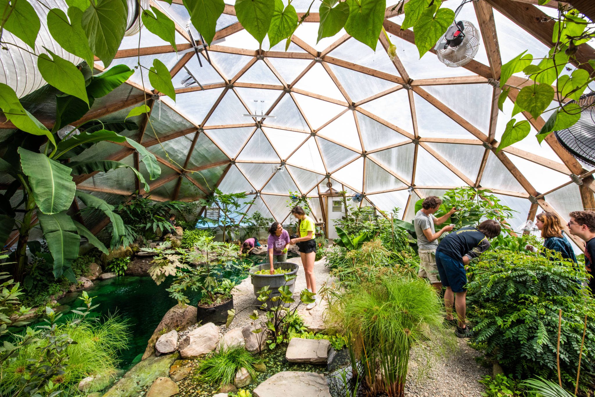 tropical greenhouse structure in Suriname
