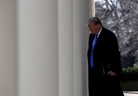 trump second term political effects