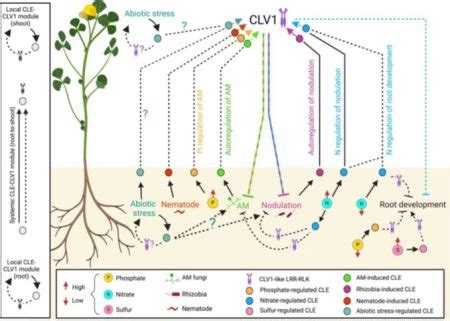 vaccination plant environment Uganda