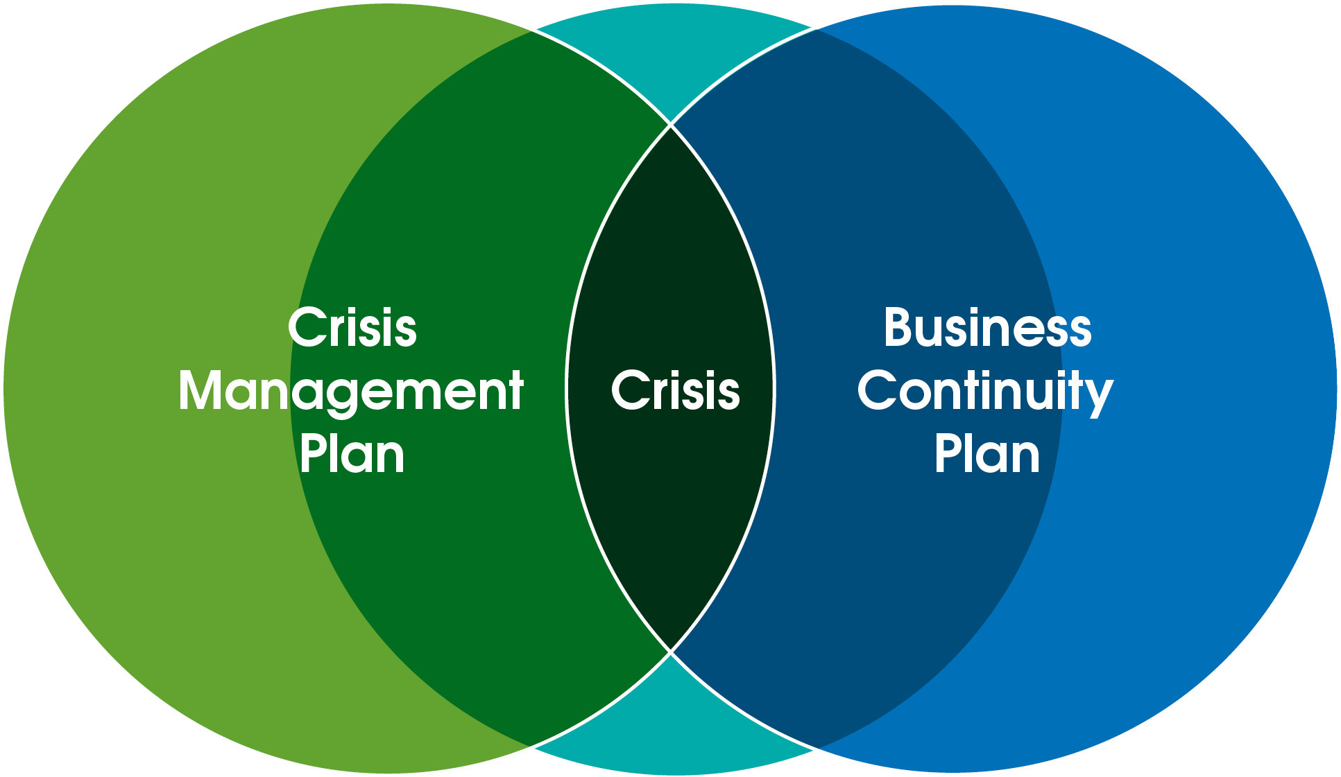 business crisis management